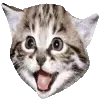 ☆ @emoji1 ★ telegram emojis 🐱