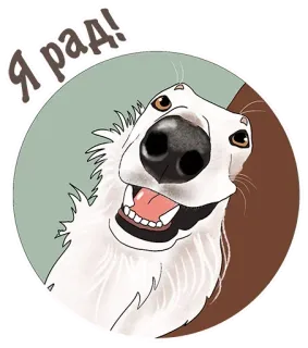 😄 Я рад! chien, joyeux, animal, autocollant, chien blanc, chien dessin animé telegram sticker