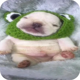 👍 telegram sticker