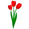 🌺