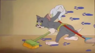 🧹 Tom Cat Tom and Jerry Cartoon, Katze, Reinigung, Besen, wütend telegram sticker
