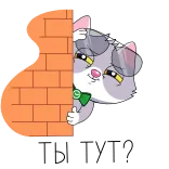 🤨 gato, dibujos animados, animal, pegatina, escondido, pared telegram sticker