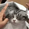 😴