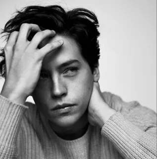 ❄️ Cole Sprouse ator, retrato, celebridade, homem, preto e branco, suéter telegram sticker