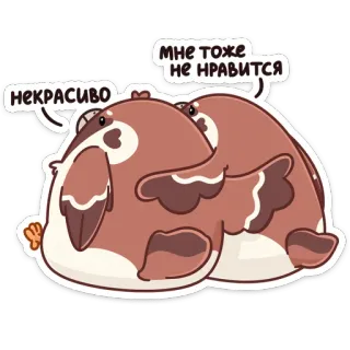 🤗 НЕКРАСИВО
МНЕ ТОЖЕ
НЕ НРАВИТСЯ pássaros, fofo, engraçado, animais, expressão telegram sticker