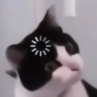 💗 кот, загрузка, интернет, мем, смешной, животное, милый telegram sticker