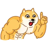 😧 doge, hond, meme, spieren, bodybuilder, grappig, cartoon whatsapp sticker