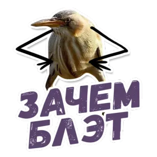 😳 ЗАЧЕМ БЛЭТ bird, text, cyrillic, sticker whatsapp sticker