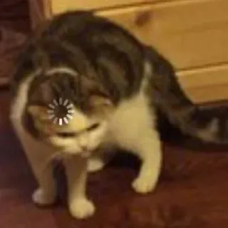 😑 chat, chargement, drôle, mème, animal, internet, mignon telegram sticker