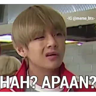 🏁 HAH? APAAN? Meme, Lustig, Verwirrt, Kpop, Bts, Gesichtsausdruck telegram sticker