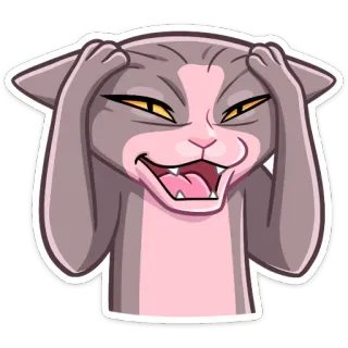 🙈 cat, stressed, frustrated, angry, meme, cartoon, pet, animal telegram sticker