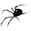 ☠