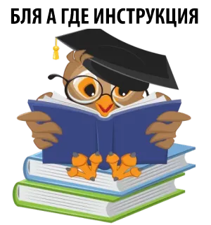😡 БЛЯ А ГДЕ ИНСТРУКЦИЯ coruja, chapéu de formatura, livros, leitura, educação, instrução, russo whatsapp sticker