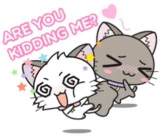 😵 ARE YOU KIDDING ME? cat, sticker, funny, cartoon, animals, cute whatsapp sticker