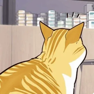🐈 mèo, động vật, thú cưng, vật nuôi, mèo, mèo mướp cam telegram sticker