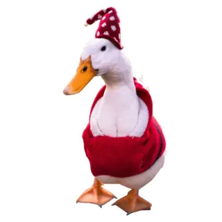 🦆 утка, животное, рождество, зима, шляпа, одежда telegram sticker