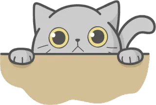 👀 Katze, Kätzchen, süß, Tier, Haustier, Haustier, Cartoon telegram sticker