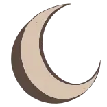 🌜