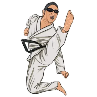 🦶 seni bela diri, karate, lompat, tendangan, kacamata hitam telegram sticker
