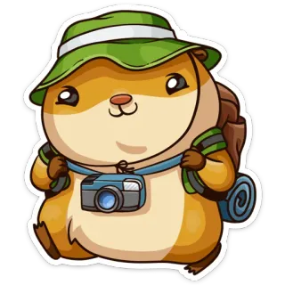 🏕 Hamster, Tier, Cartoon, Süß, Reisen, Kamera, Hut, Rucksack telegram sticker