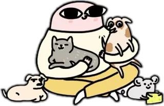 🐶 gatto, cane, animali domestici, cartoni animati, animali, carino telegram sticker