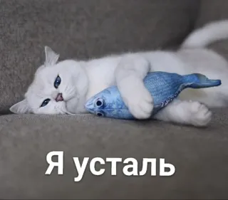 😞 Я усталь mèo, cá, mệt mỏi, thư giãn, dễ thương, thú cưng, động vật telegram sticker