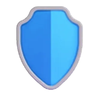 🛡️