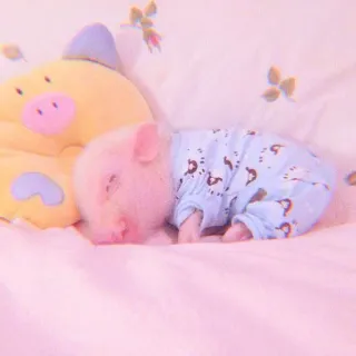 🐽 piglet, cute, animal, sleeping, pink telegram sticker