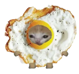🍳 猫, 小猫, 鸡蛋, 煎蛋, 搞笑, 表情包, 动物 telegram sticker