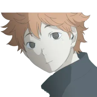 😇 Hinata Shoyo Haikyuu!! Anime, Manga, Hinata, Shoyo, Haikyuu, Volleyball, Sport telegram sticker