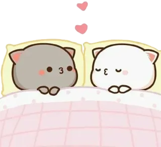 🛏 chats, mignon, dessin animé, lit, amour, couple whatsapp sticker