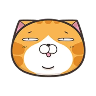 🐵 고양이, 스티커, 웃긴, 동물, 만화, 표정 telegram sticker