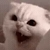 😡