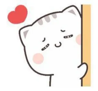 🧉 cat, heart, cute, animal, sticker telegram sticker