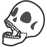 💀
