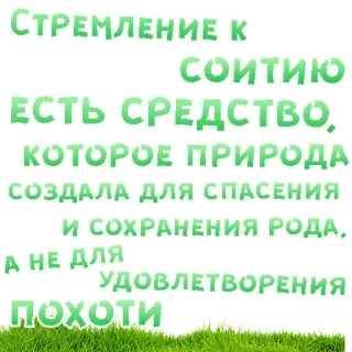 😍 СТРЕМЛЕНИЕ К
СОИТИЮ
ЕСТЬ СРЕДСТВО,
КОТОРОЕ ПРИРОДА
СОЗДАЛА ДЛЯ СПАСЕНИЯ
И СОХРАНЕНИЯ РОДА.
А НЕ ДЛЯ
УДОВЛЕТВОРЕНИЯ
ПОХОТИ telegram sticker