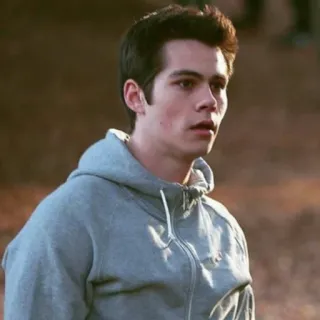 📎 Dylan O'Brien aktor, hoodie, potret, selebriti telegram sticker
