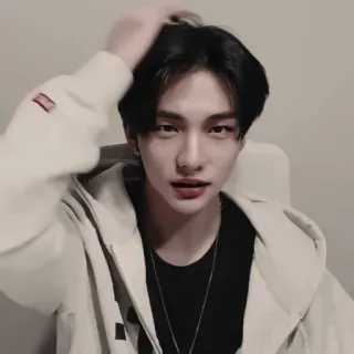 ✨ Porträt, Mann, Person, Kpop, Asiatisch whatsapp sticker