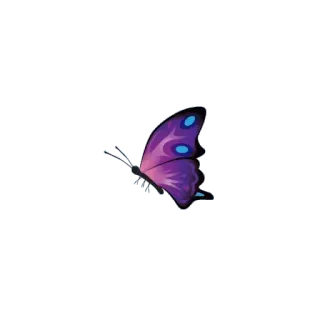 🦋 ผีเสื้อ, แมลง, สีม่วง, ธรรมชาติ, ความงาม, บิน telegram sticker