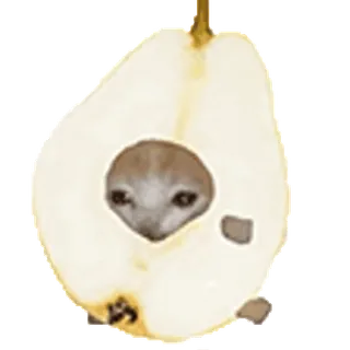 🫐больше тут➡️ @emojipipka telegram stickers