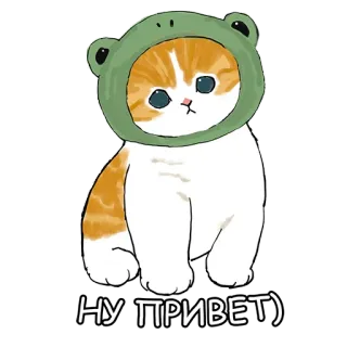 👋 НУ ПРИВЕТ) 猫, 青蛙, 可爱, 动物, 问候 whatsapp sticker