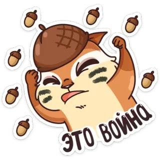 😡 ЭТО ВОЙНА Eichhörnchen, wütend, Krieg, russisch telegram sticker