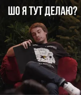🌟 ШО Я ТУТ ДЕЛАЮ? telegram sticker