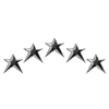 🌟
