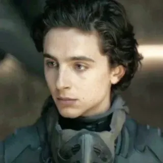 😐 Paul Atreides Dune Dune, Paul Atreides, Timothée Chalamet, science fiction, movie, character telegram sticker