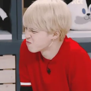 🎈 whatsapp sticker
