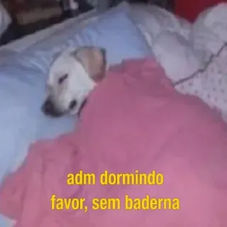 😴 adm dormindo
favor, sem baderna hond, slapen, admin, humor, schattig telegram sticker