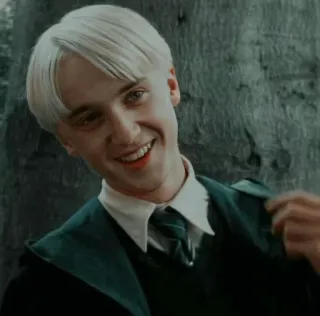 🐾 Draco Malfoy Harry Potter 드레이코 말포이, 슬리데린, 해리 포터, 마법사, 학생, 캐릭터, 마법 telegram sticker