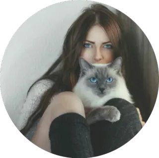 👀 mulher, gato, animal de estimação, retrato, menina, ragdoll telegram sticker