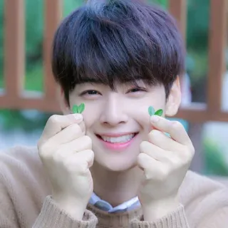 🤪 K-pop, attore, cantante, Cha Eun-woo, coreano, idol, carino, cuore telegram sticker